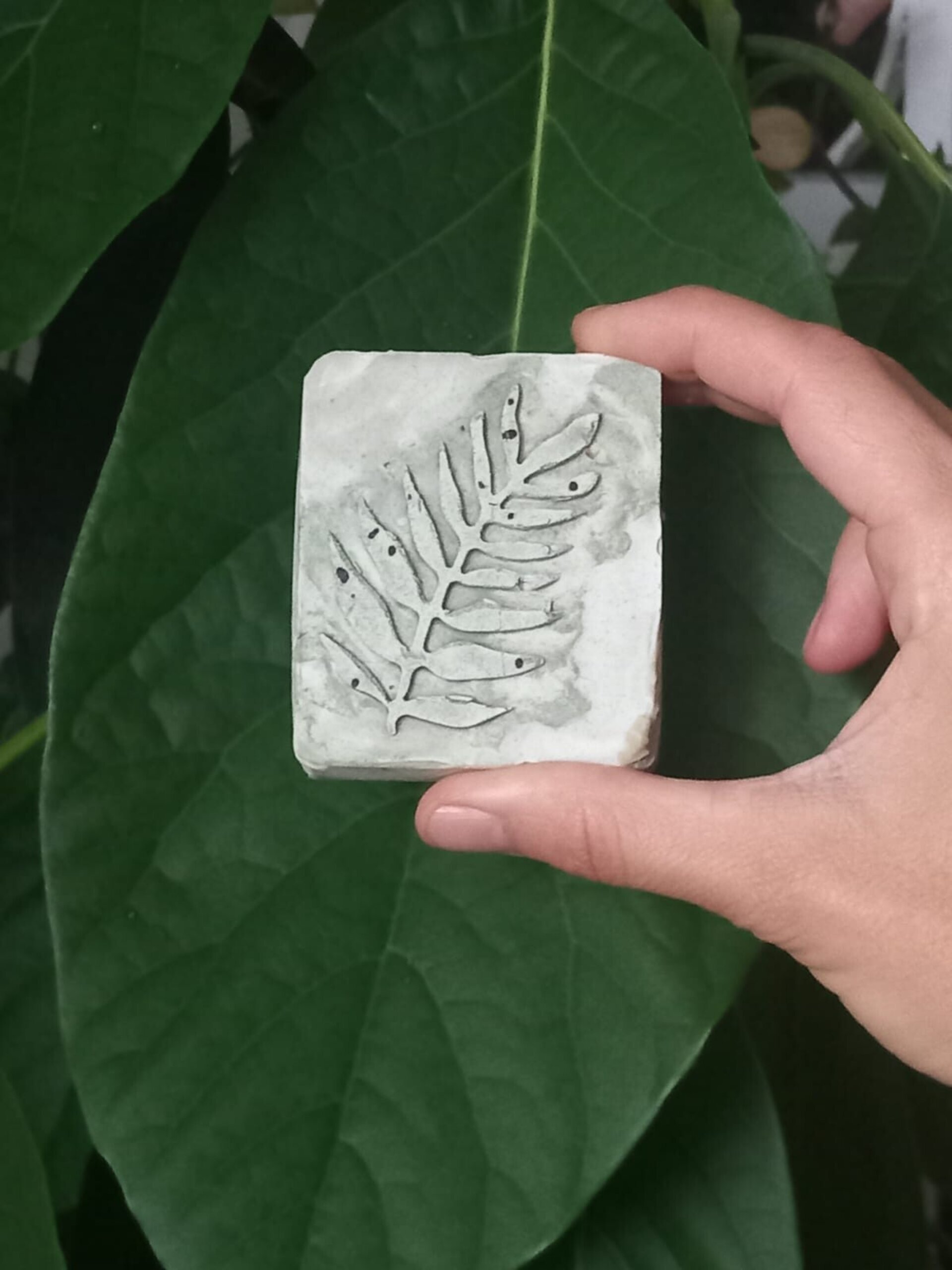 Jabón de espirulina - 2