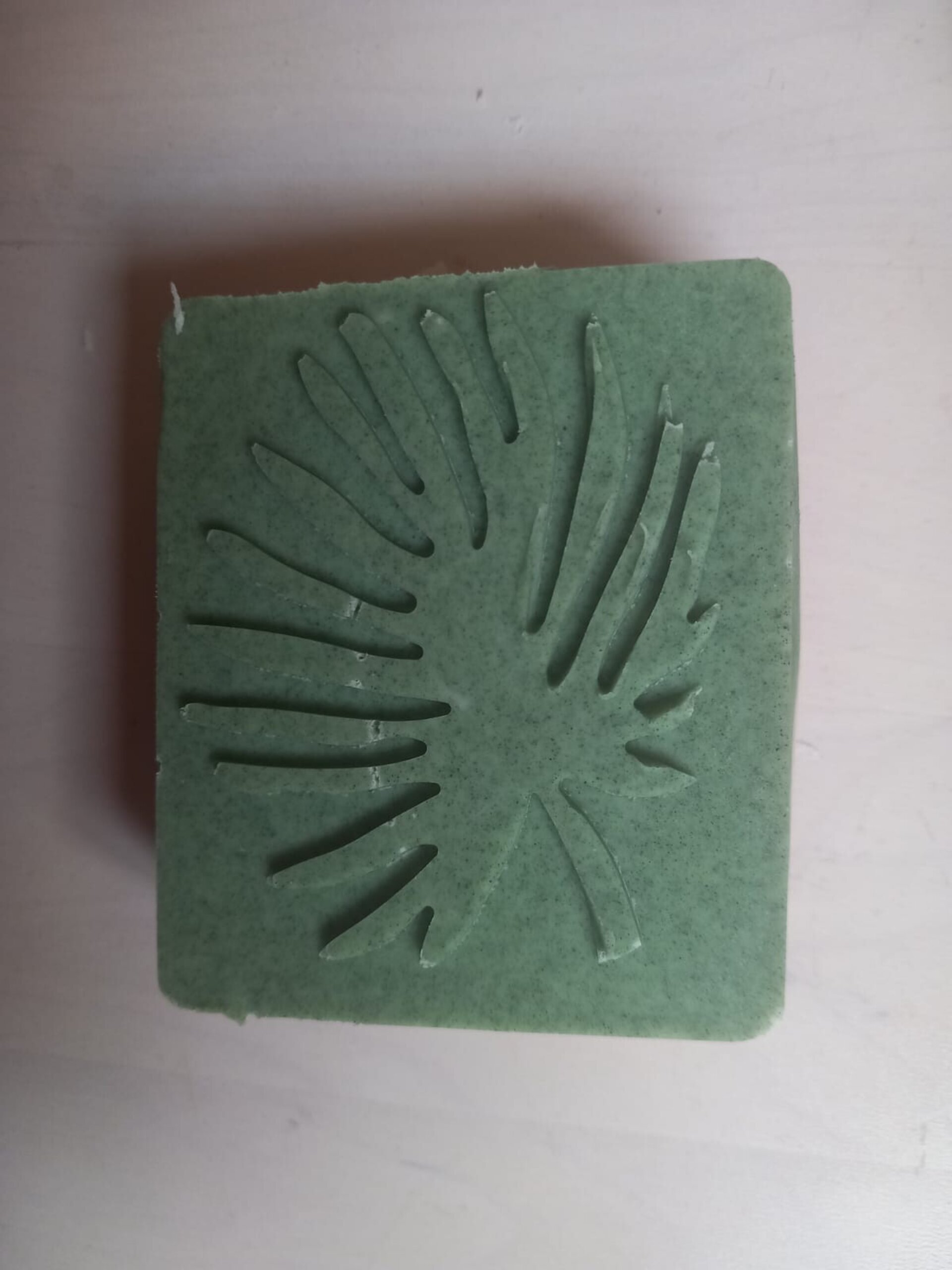 Jabón de espirulina - 3